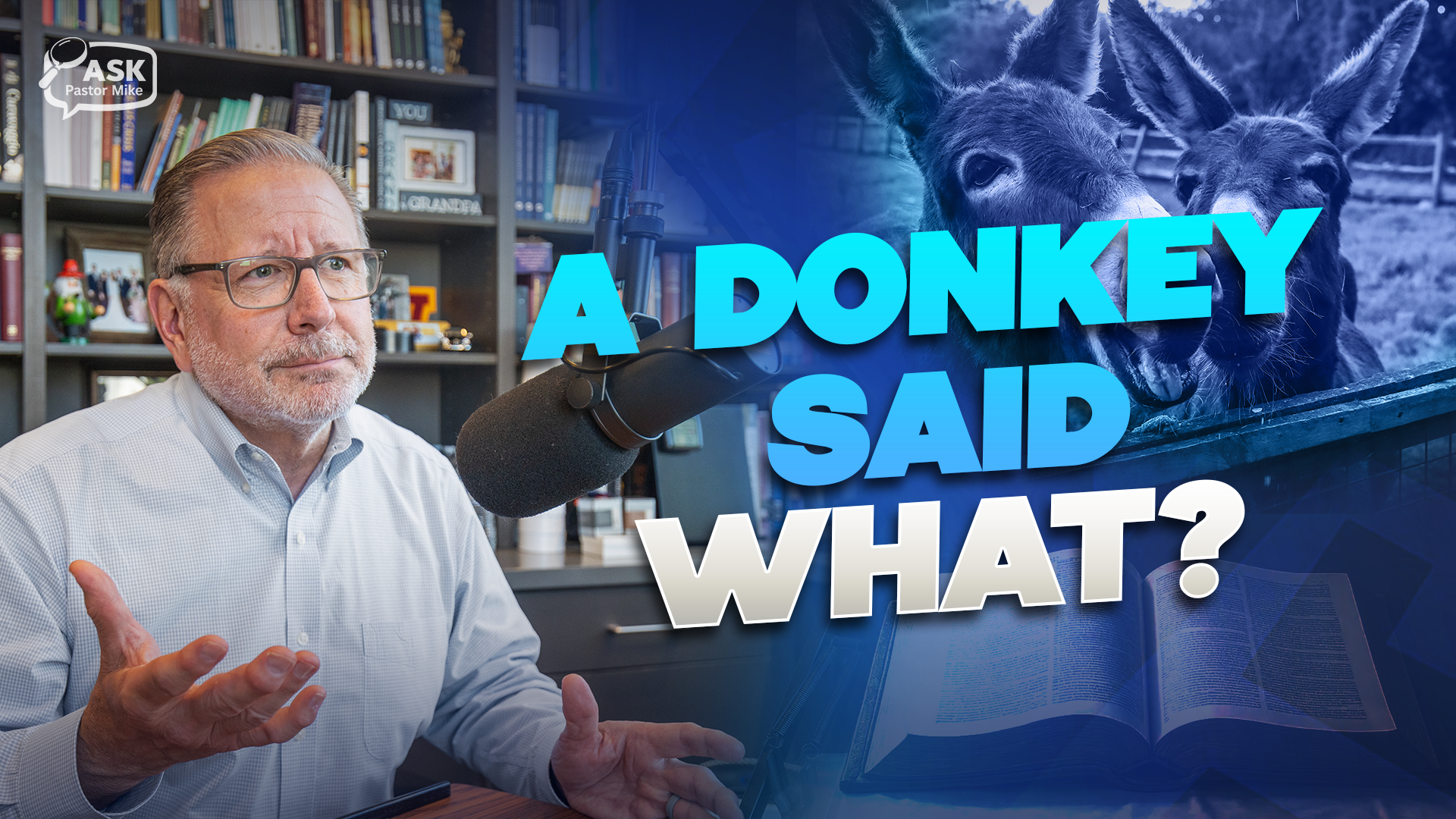 Did Animals Really Talk in the Bible?