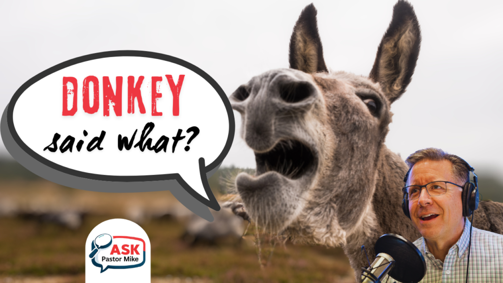 Did Animals Really Talk in the Bible?