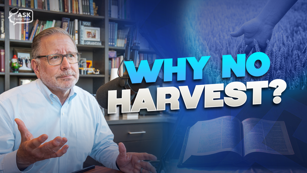 You Reap What You Sow—So Why Aren’t You Reaping?